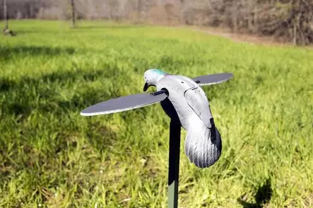 MOJO Pigeon - Decoys - 816740002828 - 2