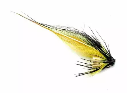 Pikku-Black Highlander Tungsten Conehead - Tube Flies - 8859202535948 - 1