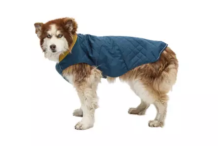 Ruffwear Stumptown Jacket River Rock Green - Dog Vest & Cloths - 748960288938 - 2
