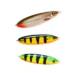 Rapala Essentials Pike Sunny 2.0 - Lure Assortments - 022677384078 - 2