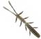 Illex Scissor Comb 10cm - Creature softbaits - 17300030108 - 5
