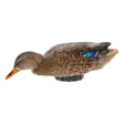 Avian-X Power Shaker Mallard Hen Surface Feeder - Decoys - 888151047538 - 1