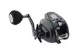 Daiwa 23 Leobritz 300 JL E - Boat reels (Jigging) - 043178188538 - 2