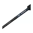 DAM Iconic2 SW Boat 1,80m 100-250g - Boat & Pilk Rods - 4044641008168 - 3