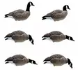 Final Approach Last Pass Lesser Canada Goose Full Body 6pcs - Decoys - 728614284288 - 1