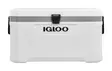 Igloo Marine Ultra 66l Cooler White - Coolers - 0034223506728 - 1