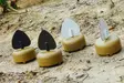 MOJO Dove a Flicker (4-pack) - Decoys - 0816740003818 - 5