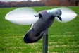MOJO Pigeon - Decoys - 816740002828 - 3