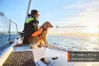 Non-stop Dogwear Protector Life Jacket Teal - Dog Vest & Cloths - 7071652173438 - 9