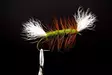 Pompero Olive Salmon Dry Fly - Other Flies - 8859202530028 - 1