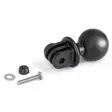 RAM® Action Camera B Ball Adapter - RAM Mounts, size B - 793442938788 - 4