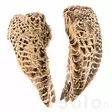 Veniard Hen Pheasant Wings - Skins, Wings and Heads - 5056304604586 - 4