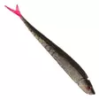 Wake Pelagear 20cm - Soft Baits for Vertical Fishing - 3400030128 - 11