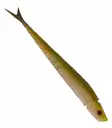 Wake Pelagear 20cm - Soft Baits for Vertical Fishing - 3400030128 - 10