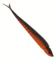 Wake Pelagear 20cm - Soft Baits for Vertical Fishing - 3400030128 - 9