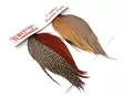 Whiting Introductory Hackle Pack Capes - Dry Fly Capes and Saddles - 6160440133738 - 1