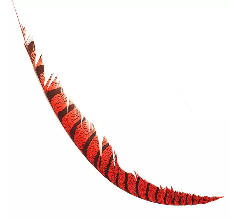 Hareline Lady Amherst Center Tail - Tails - 40400700518 - 1