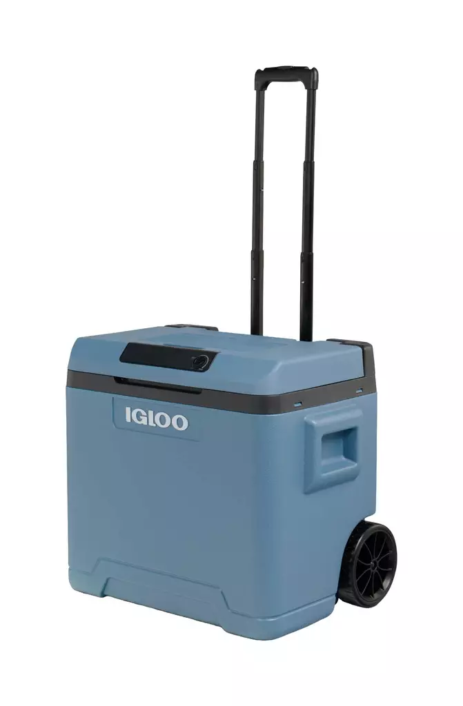 Igloo IE42R Thermoelectric Cooler 12V/230V 42l Blue - Coolers - 7315091520218 - 1