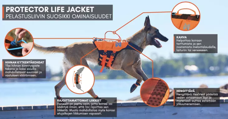 Non-stop Dogwear Protector Life Jacket Teal - Ruoto.com webstore