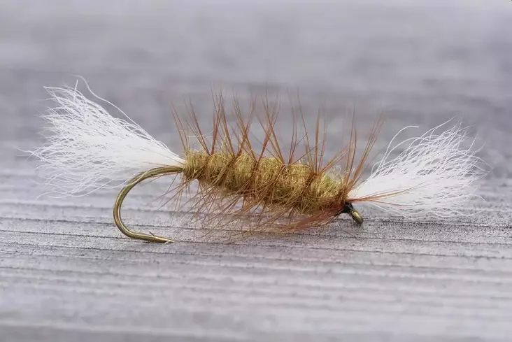 Pompero Light Olive - Other Flies - 8859202531568 - 1