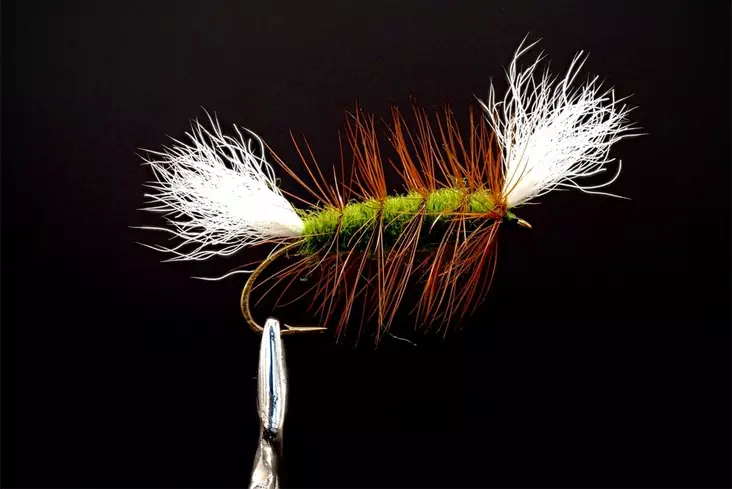 Pompero Olive Salmon Dry Fly - Other Flies - 8859202530028 - 1