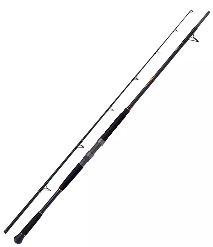 Shimano Beastmaster AX Catfish Lure Spinning - Saltwater Spinning Rods - 8717009870108 - 1