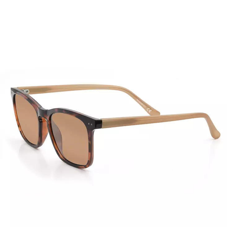 Brown - Plastic Lenses - 6417512842648 - 1