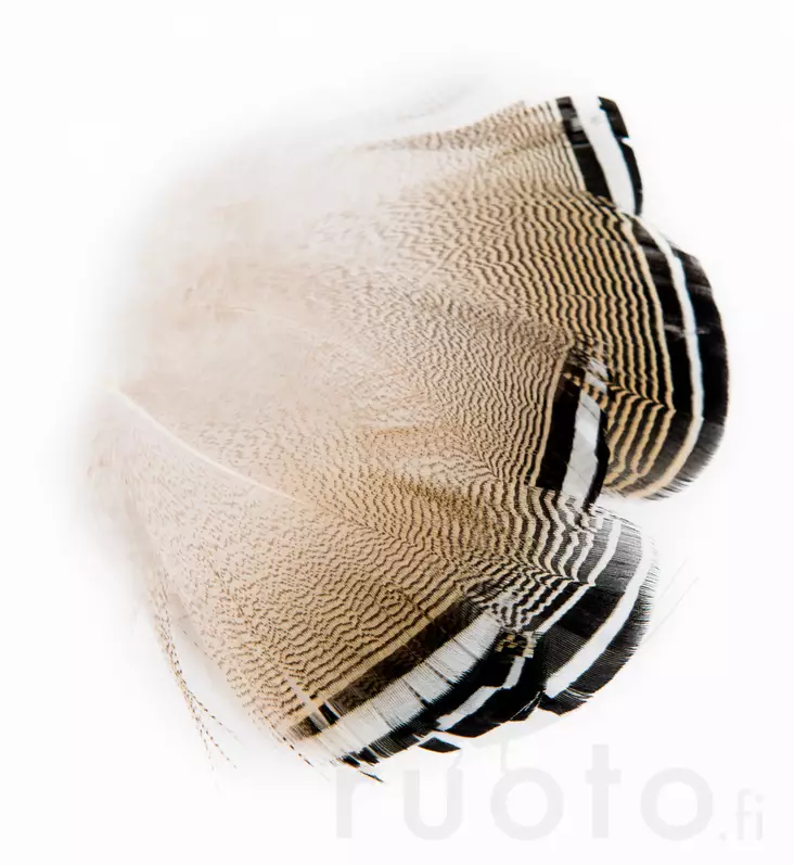 Wapsi Wood Duck Black and White Flank Feathers - Classic Feathers - 053526035018 - 2