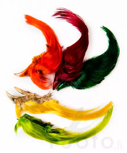 Wapsi Golden Pheasant Crest - Skins, Wings and Heads - 404001000009 - 1