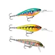 Rapala Essentials Trout Sunny 2.0 - Lure Assortments - 022677384139 - 2