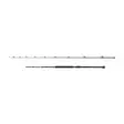 Penn Regiment IV Braid 8'2'' 12-20lb - Boat & Bottom Fishing Rods - 031324002029 - 2