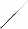 BFT Raptor G2 Pike Spin - Other Spinning Rods - 7340029417339 - 1