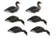 Final Approach Fullbody Flocked Greylag 6pcs - Decoys - 728614298629 - 1