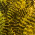 Grizzly Soft Hackle - Other Feathers and Plumes - 40450300019 - 7