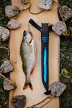 Marttiini Järvi Fillet Annual Knife 2026 - Classic Knives - 6416885331339 - 5