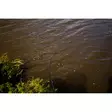 Mikado Noctis X Lite Classic Lake Feeder 3,60m max 50g - Light & Canal Feeder Rods - 5900637114659 - 10