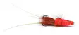 Red Frances Copper tube - Tube Flies - 7033840121379 - 2