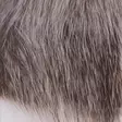Silvergrey Nutria - Body Hairs - 40500200019 - 14