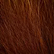 Arctic Fox - Body Hairs - 40500200029 - 2