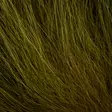 Arctic Fox - Body Hairs - 40500200029 - 8