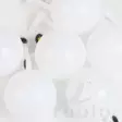White - Indicators - 858119014209 - 6