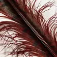 Veniard Cock Pheasant Knotted Tail - Other Feathers and Plumes - 40450300039 - 6