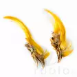 Wapsi Golden Pheasant Crest - Skins, Wings and Heads - 404001000009 - 3