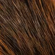 Wapsi Squirrel Tail - Tails - 40500300679 - 4