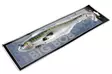 Westin Big Bob 49cm 730G - Sea Fishing Jigs - 17300500009 - 2