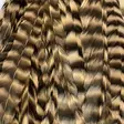 Whiting Schlappen Bundle 10-14" - Other Feathers and Plumes - 404503000009 - 10