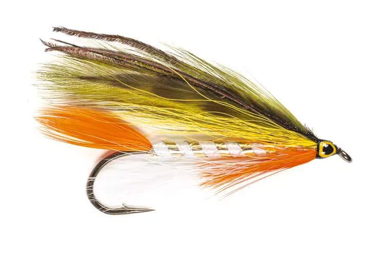 Golden Shiner Streamer - Streamers & Wooly Buggers - 8859202536099 - 1
