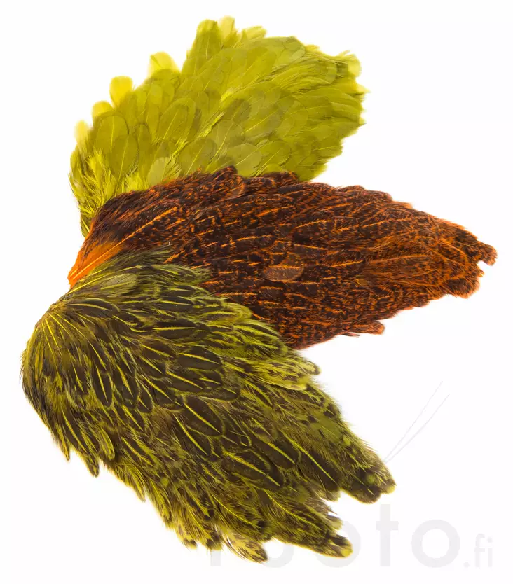 India Hen Back - Hen Capes And Saddles - 40350200109 - 1