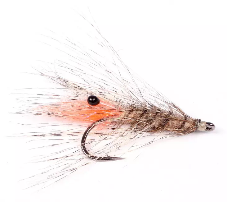 Laser Shrimp - Shrimps - 7033840131439 - 2