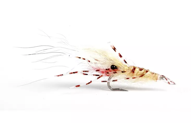 Leoshrimp Tan - Shrimps - 7033840130319 - 1
